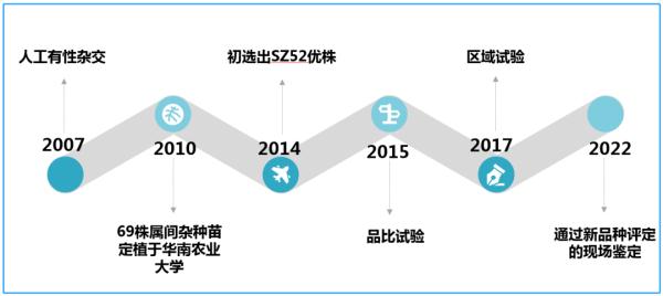 龙眼×荔枝=？世界首个龙眼与荔枝杂交新品种在广州诞生！